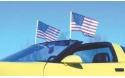 Flag caddie cab 05-13