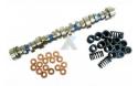 LS1 Hot Cam kit 97-04
