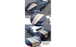 Stripe kit rally coupe, flera färger 05-13