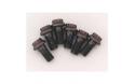 ARP Flywheel bolts 97-13