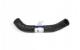 05-13 Lower Radiator Hose