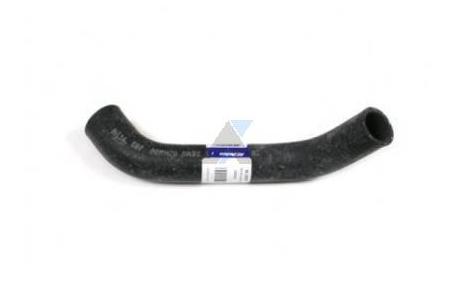 05-13 Lower Radiator Hose