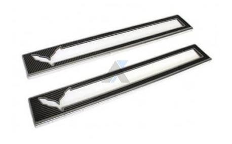 14-16 Carbon Door Sill Overlays w/Stainless Trim