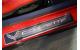 14-16 Carbon Door Sill Overlays w/Stainless Trim