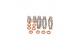 FAST Fuel injector adapter kit