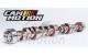 CamMotion LS7 cam 222/234 .612/.603 118LS 06-13