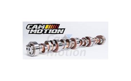 CamMotion LS7 cam 222/234 .612/.603 118LS 06-13