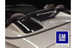 Vindavvisare med Stingray logo 14-19