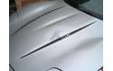 Huvstripe LS1 text flera färger 97-04