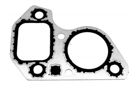 Water Pump Gasket