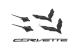 Carbon fiber look emblem set 20-